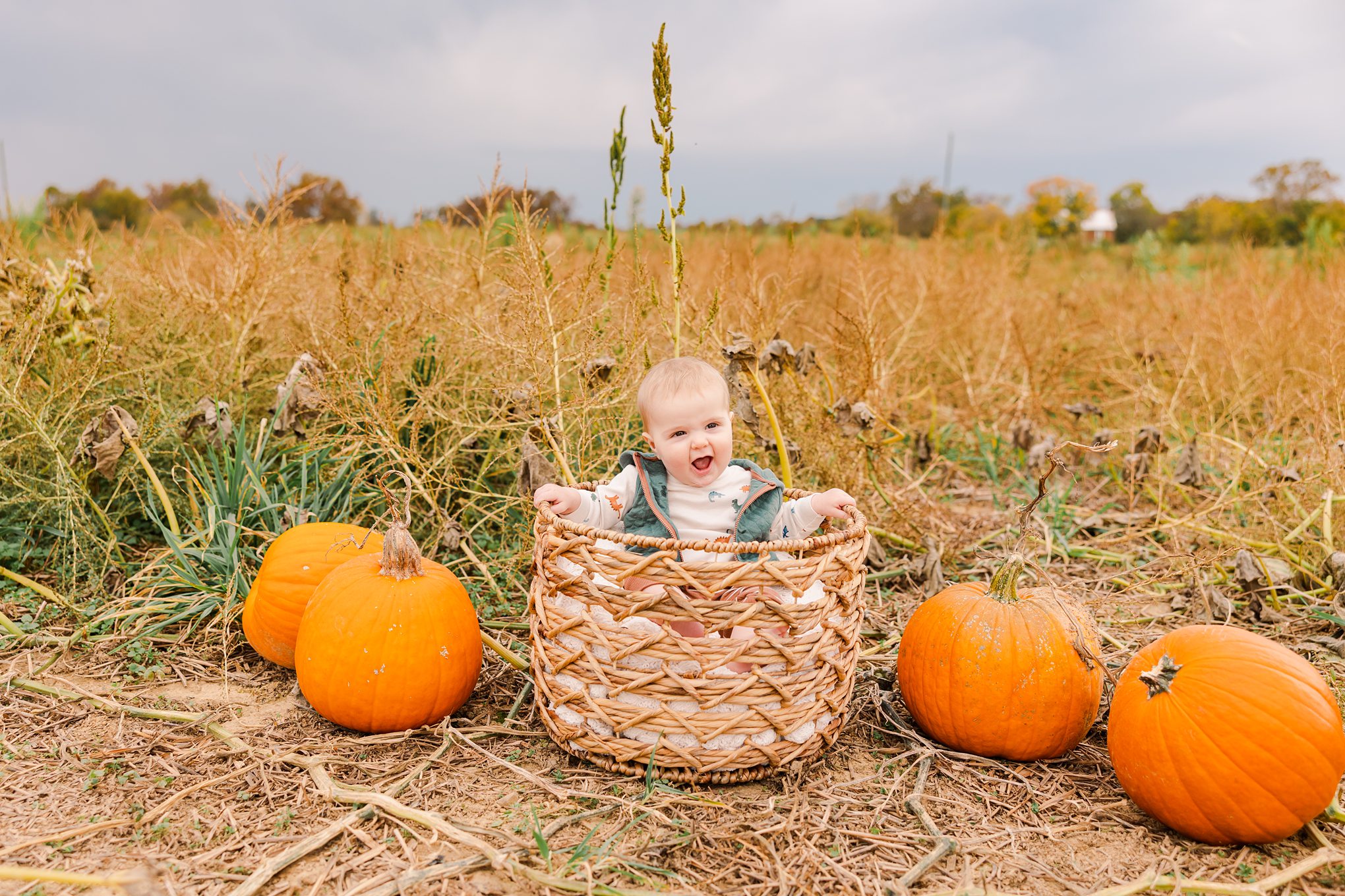 baby at pumpkin patch