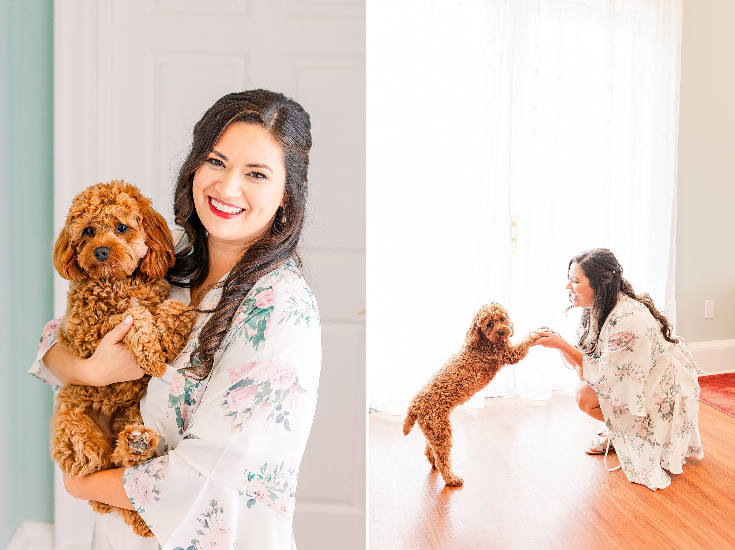 beautiful bride in robe holding small dog