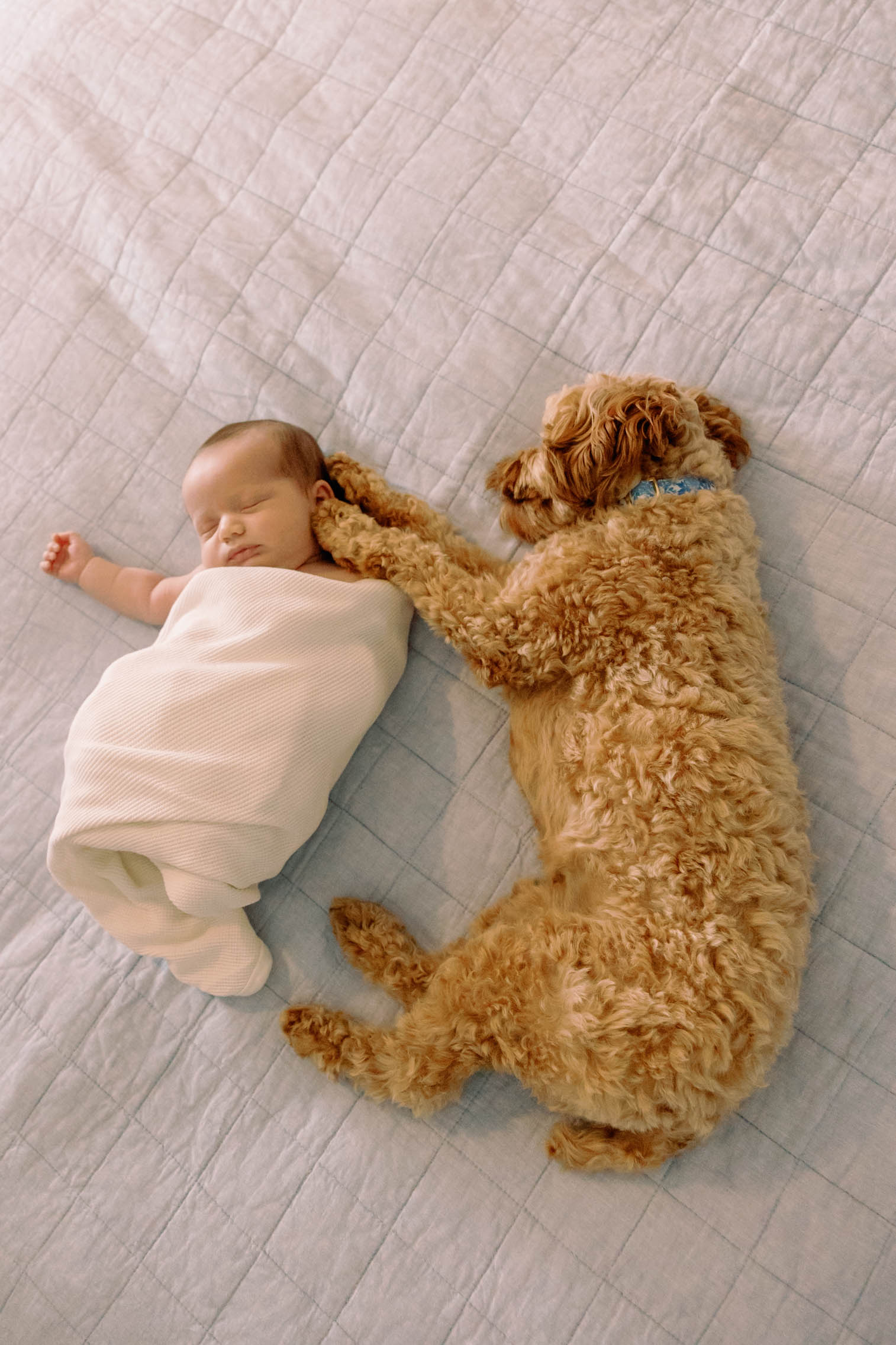 newborn baby with dog holding it